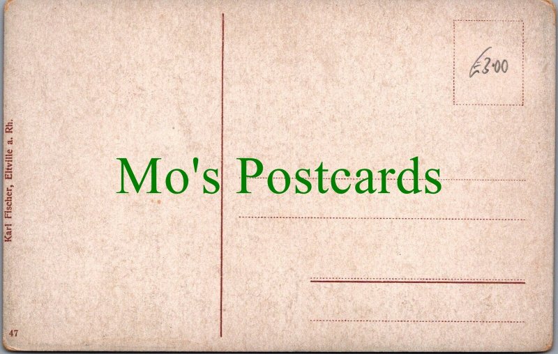 Germany Postcard - Pfalzgrafenstein Castle, Palatinate Near Kaub  SW12085