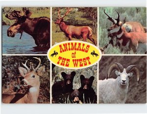 M-150976 Animals of the West