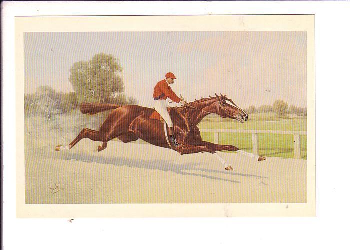 Henry Stull, Hanover, Race Horse