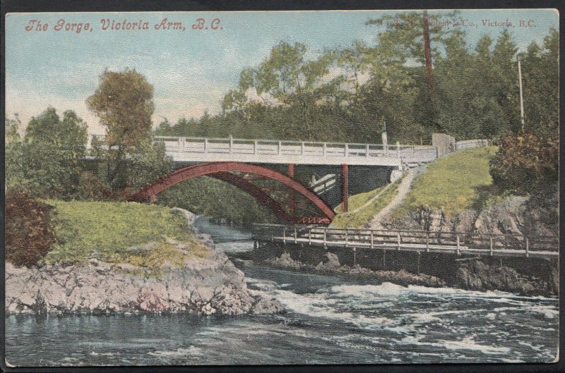 Canada Postcard - The Gorge, Victoria Arm, British Columbia  A4942