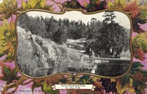 canada, St. JOHN, New Brunswick, Pool in Rockwood Park (1905) Postcard