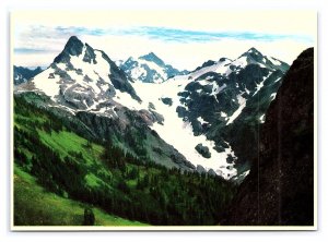 Goat Mountain & Mount Shuksan Washington Postcard Continental View Card