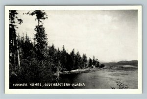 Southeastern AK- Alaska, Summer Homes, Nature Tree View, Chrome Postcard