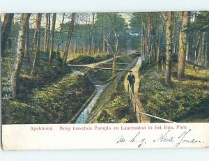 1905 postcard PARK SCENE Apeldoorn - Gelderland Netherlands F5171