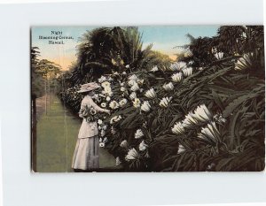 Postcard Night Blooming Cereus, Hawaii