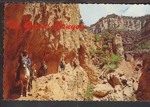 Grand Canyon AZ Postcard BIN 591