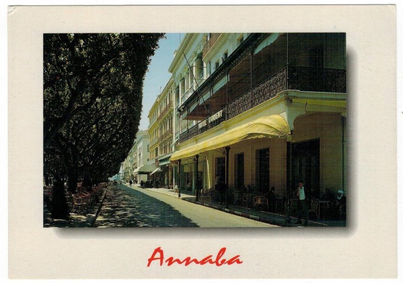 Algeria 2003 Unused Postcard Annaba Street View Trees