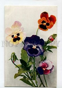 3141031 PANSY Bouquet Flowers Vintage Russian PHOTO color PC