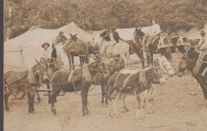 Marvell ARKANSAS RPPC 1908 LOGGING CAMP Wagons Logs TEAMSTERS Lumberjacks Posing