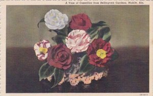 A Vase Of Camellias From Bellingrath Gardens Moblie Alabama