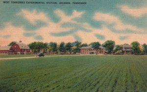 West Tennessee Experimental Station,Jackson,TN