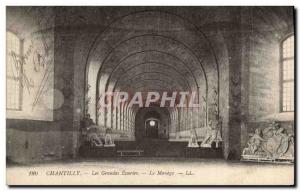 Old Postcard Horse Horses Equestrian Chantilly large stables The manege