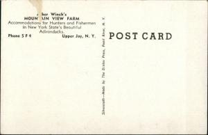 Upper Jay NY Hunter Asher Winch Hunting Dead Deer Rifle Old Postcard