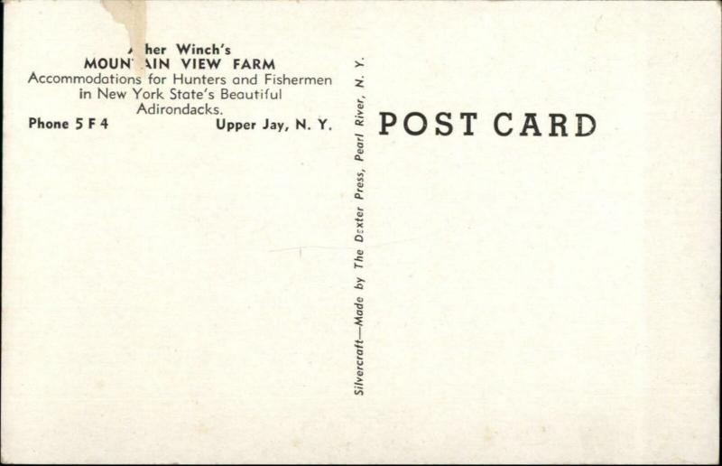 Upper Jay NY Hunter Asher Winch Hunting Dead Deer Rifle Old Postcard