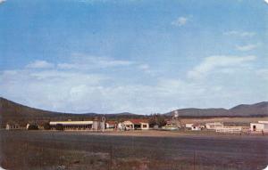 Williams Arizona Red Lake Lodge Street View Vintage Postcard K23739