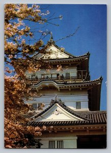 Japan Odawara Castle cherry blossom in full bloom Hakone