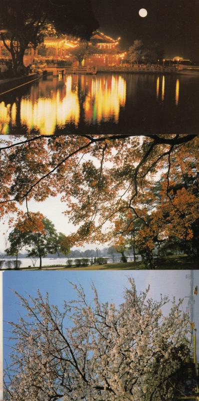 Lake Qiantang River 3x Chinese China Postcard s