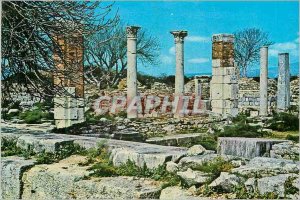 Postcard Modern Turkey Ephesus Basilica of St. Mary and the Council