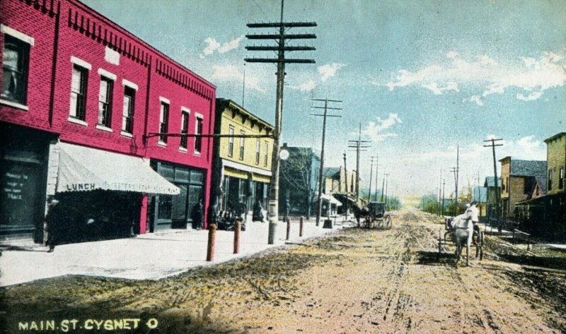 c. 1910 Downtown Horse Wagons Main St Cygnet, OH Postcard P16 