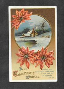 Vintage Embossed Postcard Christmas Flowers!