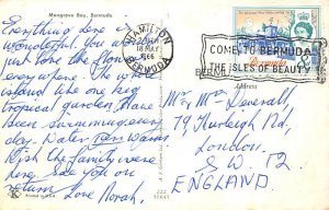 Mangrove Bay Bermuda Postcard