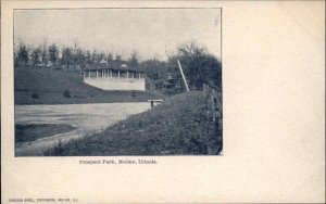 Moline Illinois IL Prospect Park c1910 Vintage Postcard