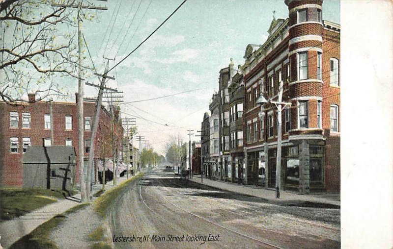 Lestershire Main Street East Early View Leighton New York VTG P96