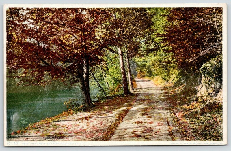 Washington DC~Zoo Park~Autumn Leaves on Rock Creek Road~c1910 Detroit Pub Co 