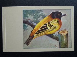 Bird Theme TEXTOR WEAVER c1950s Postcard by P. Sluis Series 3 No.30