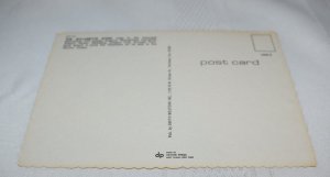 Willamette River Oregon Postcard Smith Western Inc. Dexter Press 1500-D