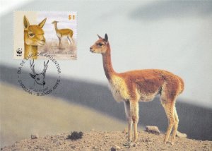 Argentinian Vicugna Deer WWF Stamp First Day Cover Postcard