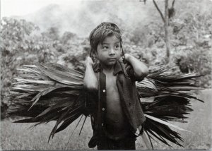 postcard Mexico - Jungle Child, Gallo Giro, Chiapas