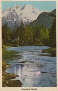 America Postcard - Beautiful Alaska, Chilkat Pass, Near Haines  RS24732