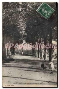 Old Postcard Dole An Allee Du Cour-Saint-Maurice