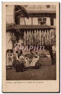 Old Postcard Drying tobacco in Alsace (trades)