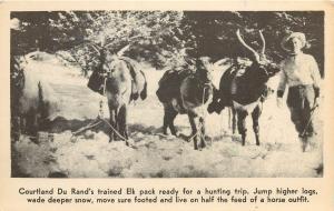 1920s Postcard, Du Rand & Trained Pack Elk, Big Elk Ranch, Martinsdale MT