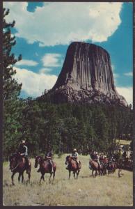 Devil's Tower,WY Postcard BIN