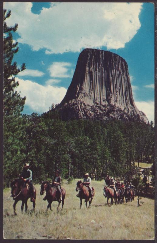 Devil's Tower,WY Postcard BIN