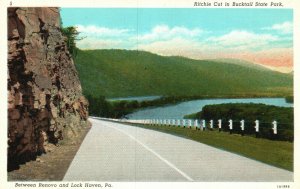 Postcard 1920s Ritchie Cut Bucktail State Park Between Renovo & Lock Haven PA