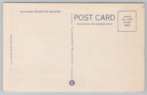 Wisconsin~Devil's Lake State Park Forest~Vintage Postcard