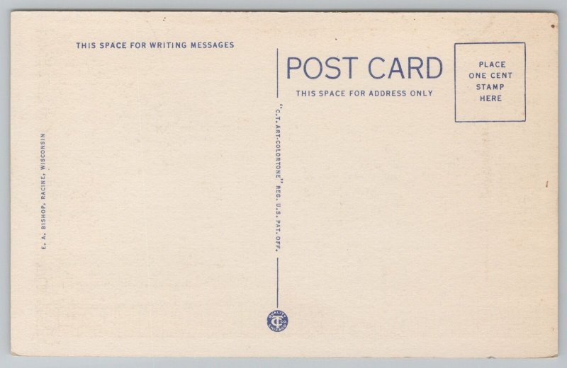 Wisconsin~Devil's Lake State Park Forest~Vintage Postcard