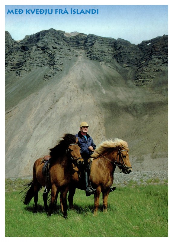 Postcard Iceland - BGreetings from Iceland - Icelandic Horses