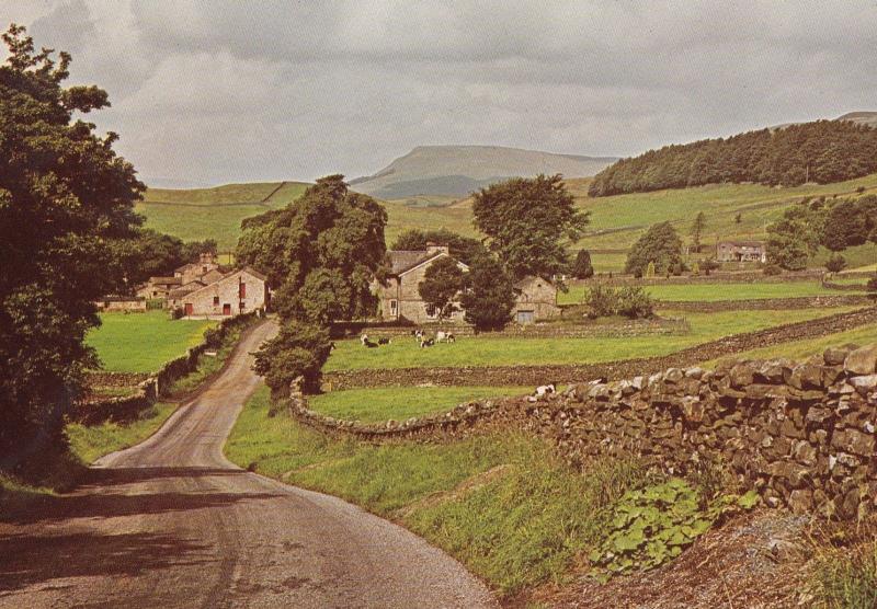 Hardraw Sheep Farm Postcard