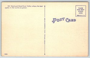 Oregon Postcard -  Mt. Hood  Hood River Valley in Foreground