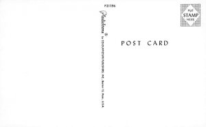 Golf Postcard Golf Course Bulletin Board Comic Unused