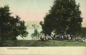 iceland, HALLORMSSTAÐASKÓGUR, View with People (1910s) Postcard