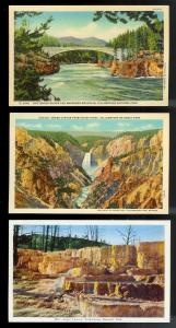 USA (31) Diff Western Scenery Yellowstone unused c1920-1940