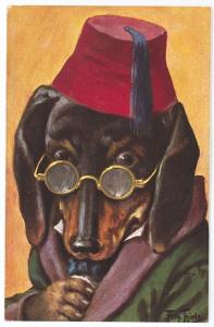 Dachshund Dog Serious Looking Signed Thiele Postcard