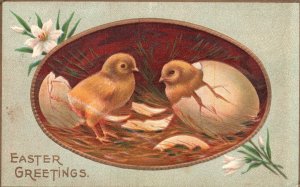 Easter Greetings Chicks Cracked Eggs Holiday Wishes Card Vintage Postcard 1912