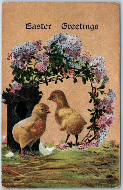 c1910s Easter Greetings Cute Baby Chick Hatched Egg Lilac Flower Postcard A196